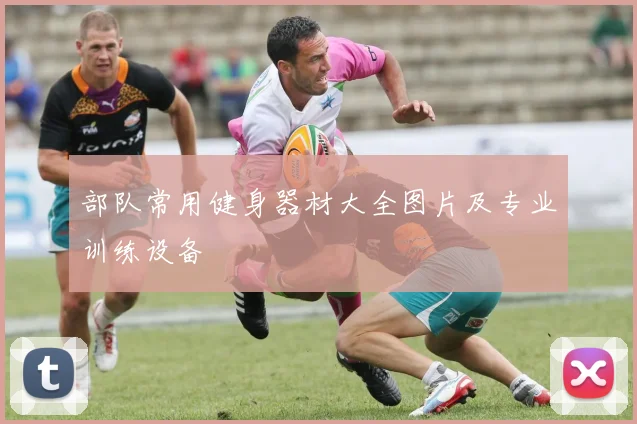 部队常用健身器材大全图片及专业训练设备