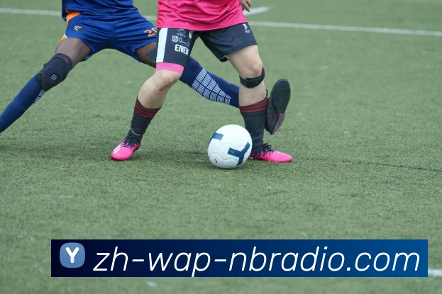 纬来体育品牌故事