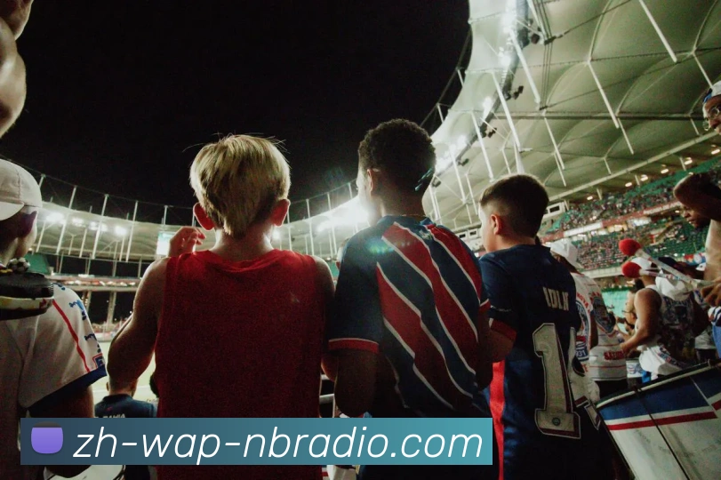 纬来体育服务体系